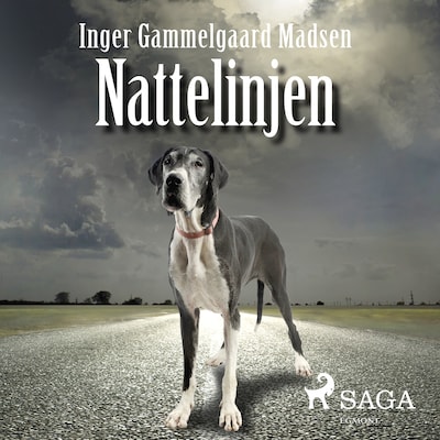 Nattelinjen – omslag til lydbogen af Inger Gammelgaard Madsen