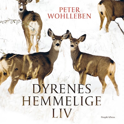 Dyrenes hemmelige liv – omslag til lydbogen af Peter Wohlleben