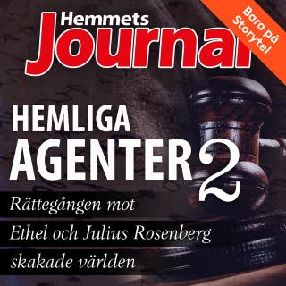 Hemliga agenter 2