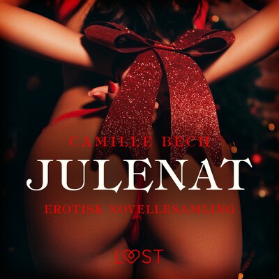 Julenat – erotisk novellesamling – omslag til lydbogen af Camille Bech