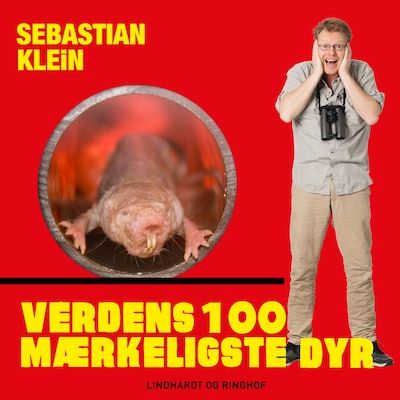 Verdens 100 mærkeligste dyr, Nøgenrotten – omslag til lydbogen af Sebastian Klein