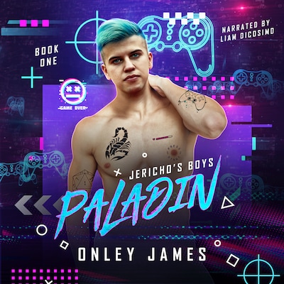 Paladin – omslag til lydbogen af Onley James