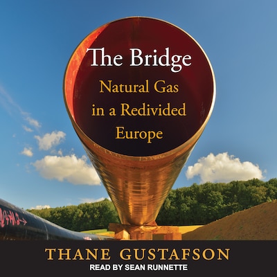 The Bridge – omslag til lydbogen af Thane Gustafson