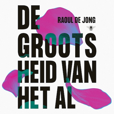 De grootsheid van het al – omslag van het luisterboek van Raoul de Jong