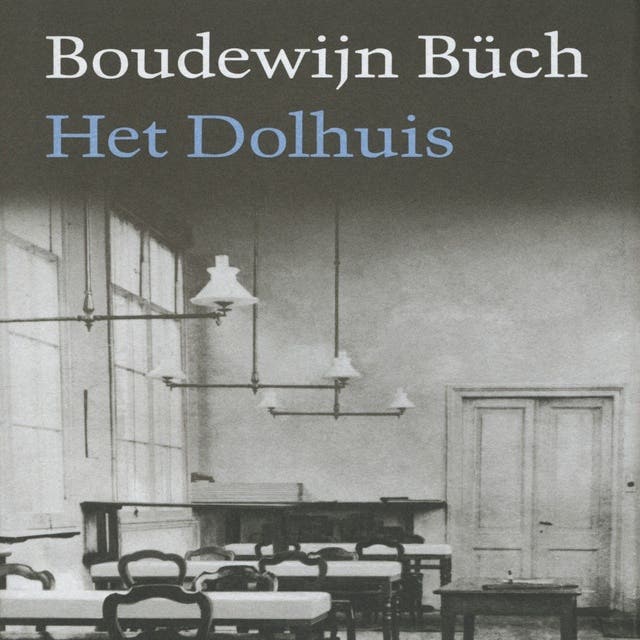 Het dolhuis