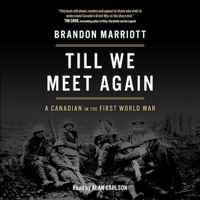 Till We Meet Again – omslag til lydbogen af Brandon Marriott