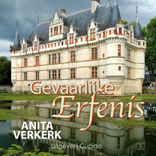 Gevaarlijke erfenis – omslag van het luisterboek van Anita Verkerk