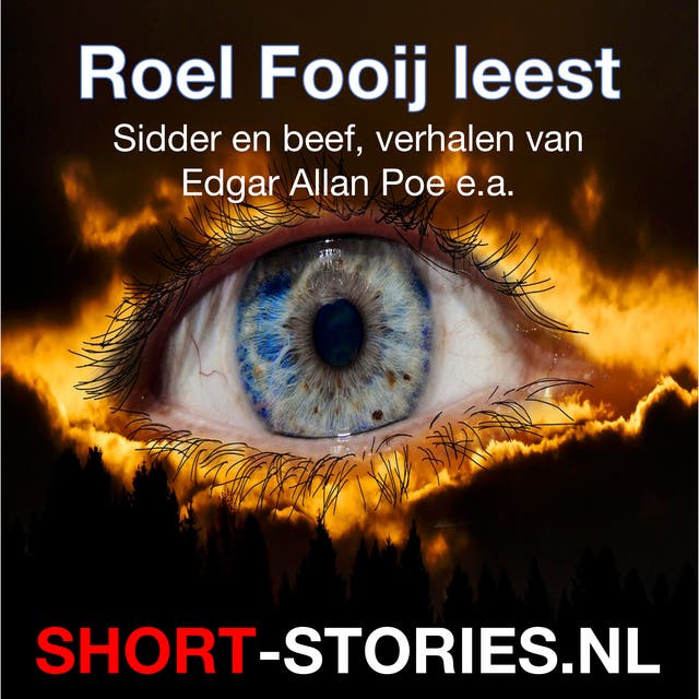 Roel Fooij leest: Sidder en beef, verhalen van Edgar Allan Poe e.a.