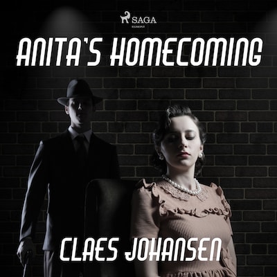Anita’s Homecoming – omslag til lydbogen af Claes Johansen