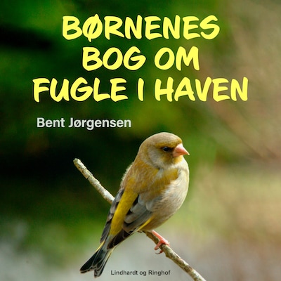 Børnenes bog om fugle i haven – omslag til lydbogen af Bent Jørgensen