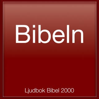 Bibeln som ljudbok (Bibel 2000)