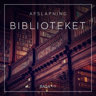 Biblioteket – omslag til lydbogen af Rasmus Broe