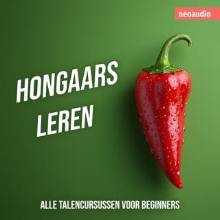 Taalcursussen voor beginners, Hongaars leren (Ongesneden) – omslag van het luisterboek van NeoAudio