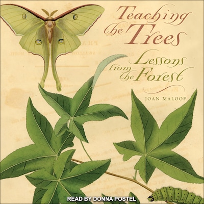 Teaching the Trees – omslag til lydbogen af Joan Maloof