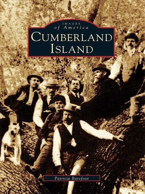 Cumberland Island – omslag til lydbogen af Patricia Barefoot