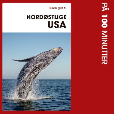 Turen går til Nordøstlige USA på 100 minutter – omslag til lydbogen af Louise Kastrup Scheibel