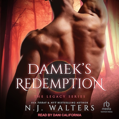 Damek’s Redemption – omslag til lydbogen af N.J. Walters