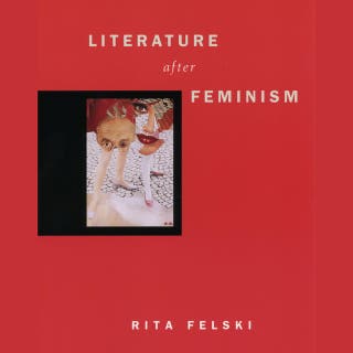 Literature after Feminism