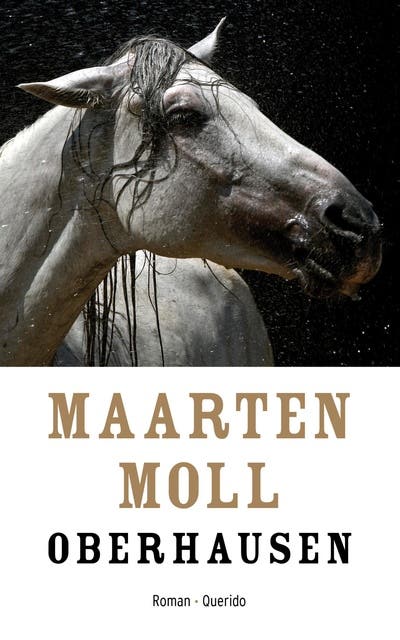 Oberhausen: roman – omslag van het luisterboek van Maarten Moll
