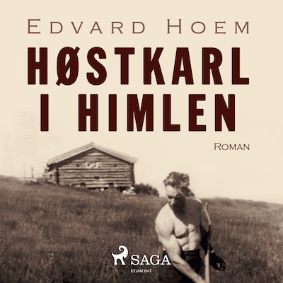Høstkarl i himlen – omslag til lydbogen af Edvard Hoem