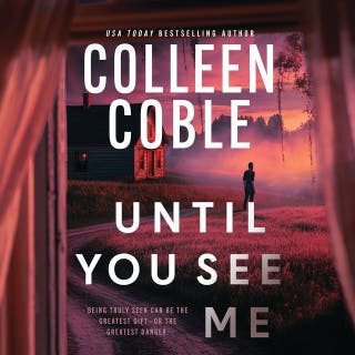 Until You See Me: A Novel