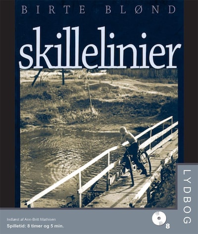 Skillelinier – omslag til lydbogen af Birthe Blønd