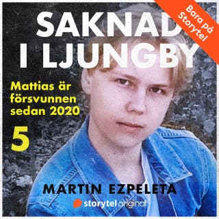 Del 5. Fyndet - Saknad i Ljungby