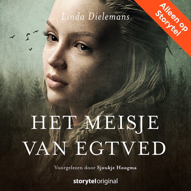 Het meisje van Egtved - E10 – omslag van het luisterboek van Linda Dielemans