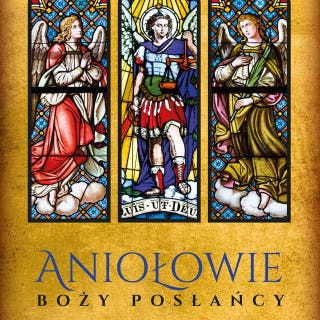 Aniołowie. Boży posłańcy – okładka audiobooka, autor Grzegorz Fels