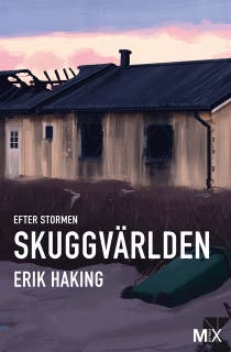 Efter stormen. Skuggvärlden – omslag till ljudboken av Erik Haking