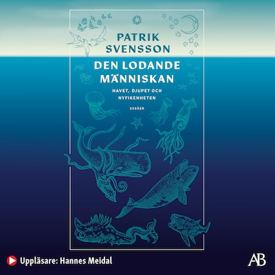 Den lodande människan : havet, djupet och nyfikenheten