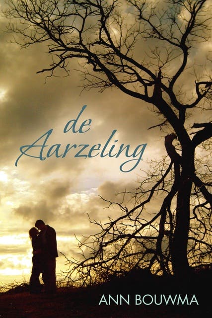 De aarzeling – omslag van het luisterboek van Ann Bouwma