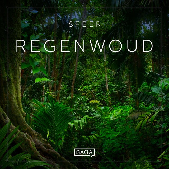 Sfeer - Regenwoud – omslag van het luisterboek van Rasmus Broe