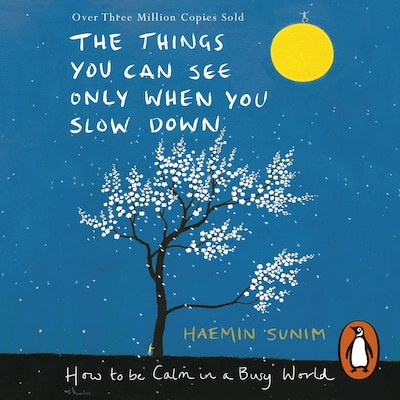 The Things You Can See Only When You Slow Down – omslag til lydbogen af Haemin Sunim