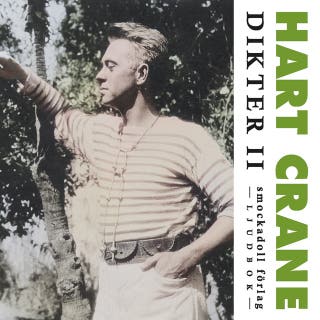Dikter II