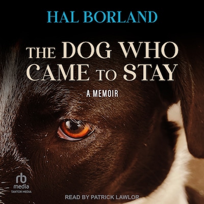 The Dog Who Came to Stay – omslag til lydbogen af Hal Borland
