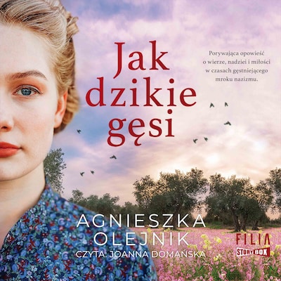 Jak dzikie gęsi – okładka audiobooka, autor Agnieszka Olejnik