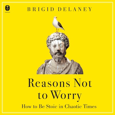 Reasons Not to Worry – omslag van het luisterboek van Brigid Delaney