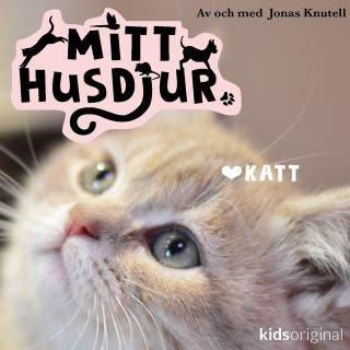 Mitt husdjur: Mus