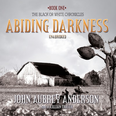 Abiding Darkness – omslag til lydbogen af John Aubrey Anderson