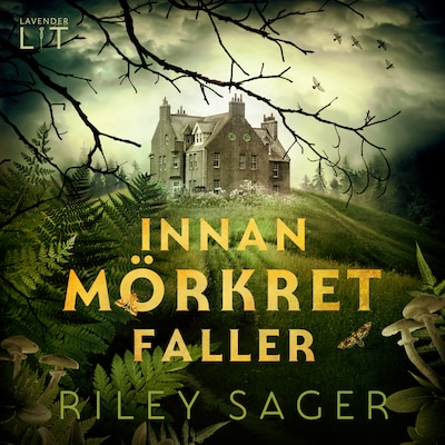 Innan mörkret faller