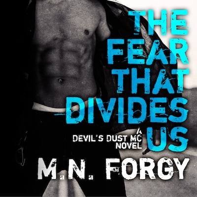 The Fear That Divides Us – omslag til lydbogen af M. N. Forgy