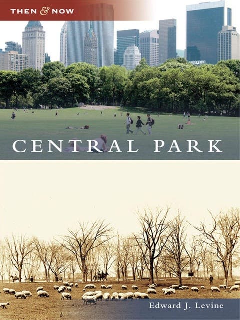 Central Park – omslag til lydbogen af Edward J Levine