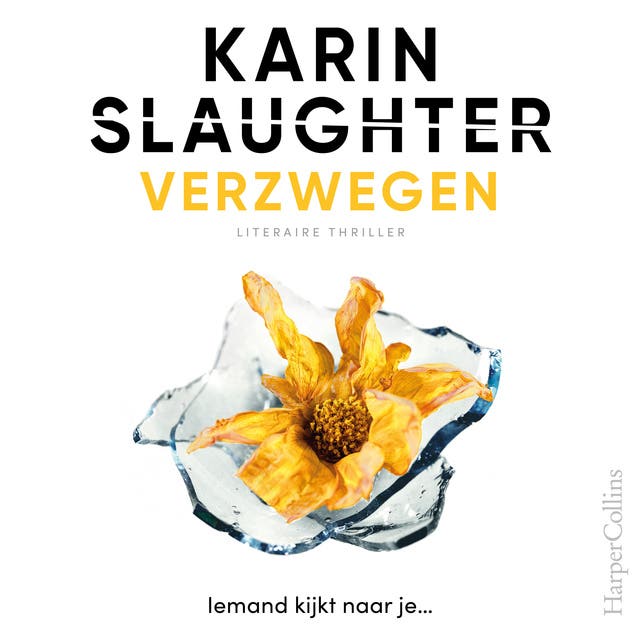 Verzwegen: een Will Trent thriller