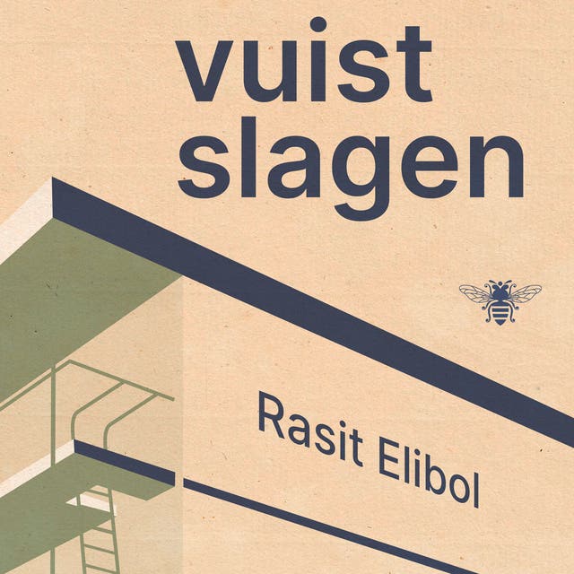 Vuistslagen: Over opklimmen en invechten