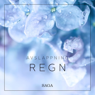 Avslappning - Regn