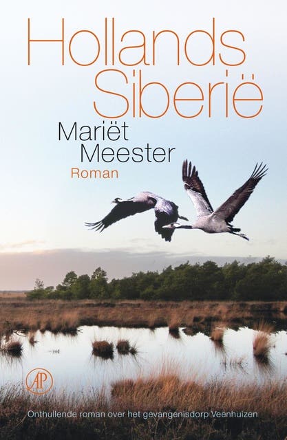 Hollands Siberie: onthullende roman over het gevangenisdorp Veenhuizen – omslag van het luisterboek van Mariët Meester