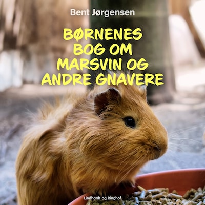 Børnenes bog om marsvin og andre gnavere – omslag til lydbogen af Bent Jørgensen