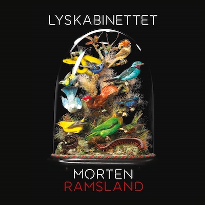 Lyskabinettet – omslag til lydbogen af Morten Ramsland