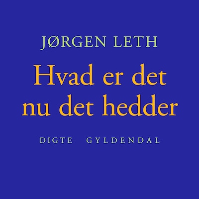 Hvad er det nu det hedder – omslag til lydbogen af Jørgen Leth